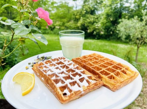 Ferme Sereine en Périgord - lot de 12 GAUFRES recette de BRUXELLES, déjà cuites, surgelés
