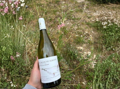 Domaine Céline Coté - Bourgogne Aligoté 2025