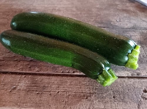 Aux Jardins des Colibris - Courgettes vertes Bio