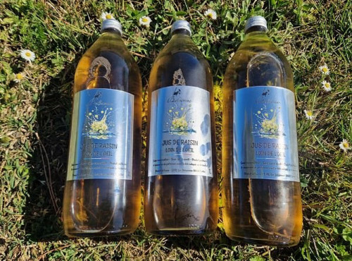 Château Balsamine - Jus de Raisin Blanc X3