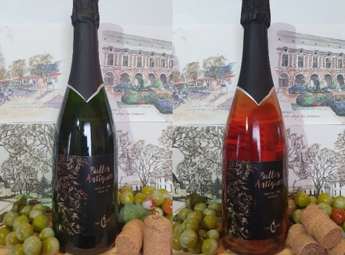 Cave Creuzet - Les Caves aux Caux - Découverte Vins pétillants "Bulles Antiques" Blanc et Rosé Lot de 6
