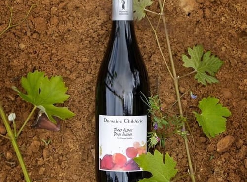 Domaine Childéric - Vin Rouge AOC Ventoux - Bras dessus bras dessous 2022