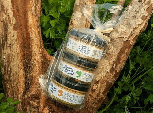 Aquaverdier - Lot découverte Terrines et Rillettes de Sandre