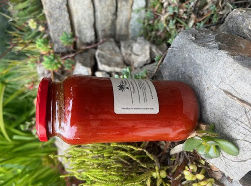 L'OLIVERAIE DU COUDON - SAUCE TOMATE FRITO 545GR