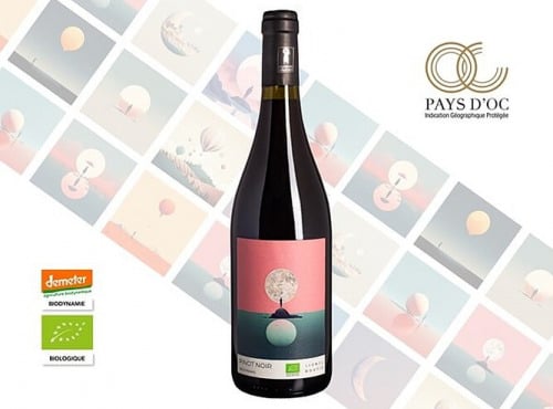 Domaine Ricardelle de Lautrec - Pinot Noir Lune – La délicatesse d’un Pinot Noir biodynamique lumineux