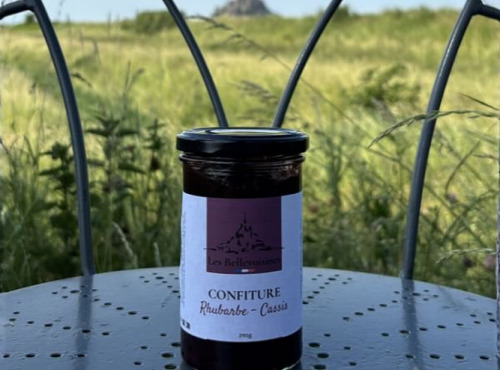 Ferme Saint Joseph - Confiture Rhubarbe Cassis 295g
