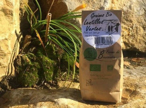 Laiterie de Pamplie - Lentilles Vertes