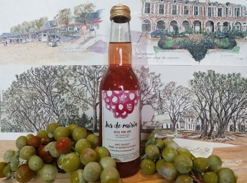 Cave Creuzet - Les Caves aux Caux - Pur jus de raisin 33cL - sans alcool - Lot de 6