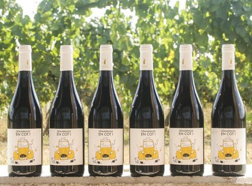 Domaine la Paganie - Vin rouge nature – Démarrage en COT– 6 bouteilles