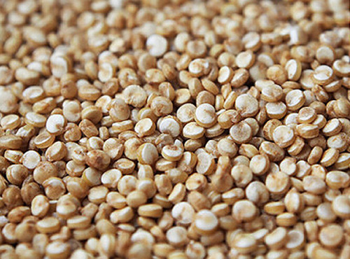 Mon Petit Producteur - Quinoa Bio [vendu Par 1 Kg]+