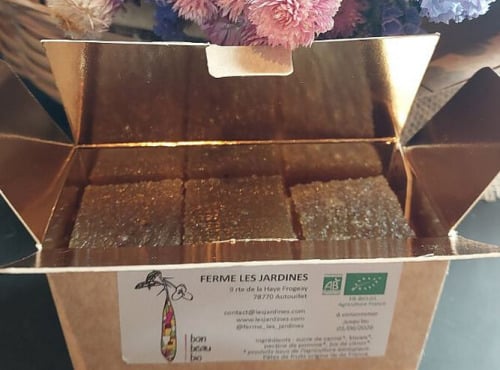 Ferme Les Jardines - Pâtes de fruits de Kïwais Bio