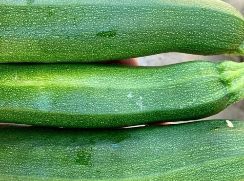 ChâteauFer - Courgette