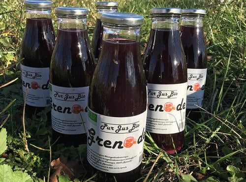 Délit de Gourmandise - Pur Jus de Grenades Bio - 6x75cl