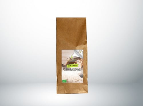 Adal Terra - Farine de Blés Anciens Biodynamiques T65 25KG