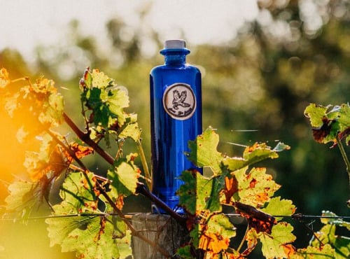 Maison Mounicq - Gin Avem Hippolais