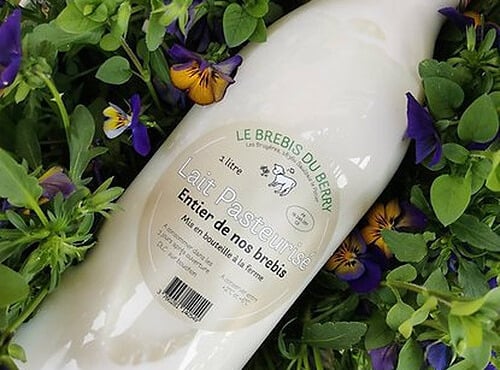 SCEA Brebis du Berry - Lait de brebis 1l