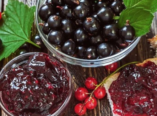 L'OLIVERAIE DU COUDON - CONFITURE DE CASSIS BIO 720g