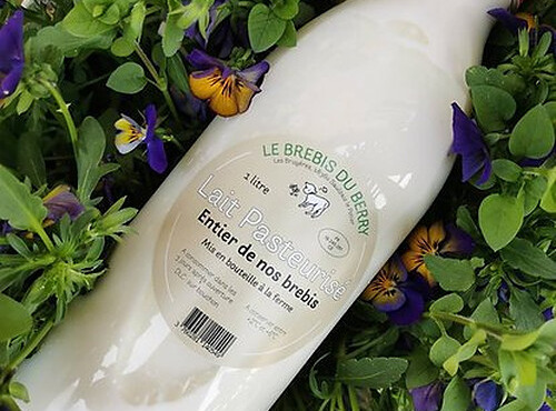 SCEA Brebis du Berry - Lait de brebis x15