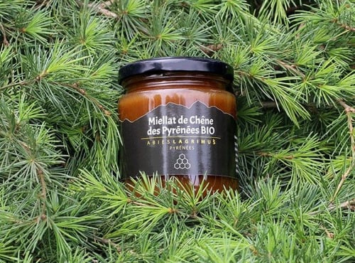 Abies Lagrimus - Miellat de Chêne des Pyrénées - 315g