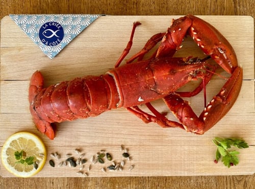 La Criée d'à Côté - Homard Bleu Cuit - 350g à 450g