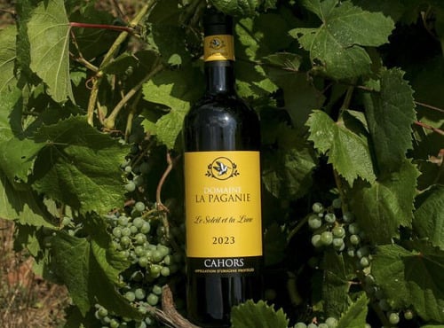 Domaine la Paganie - Vin Rouge de Cahors - Le Soleil et la Lune - 1 bouteille