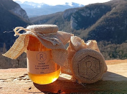 Rucher d'Esclarmonde - Miel Puèg Pireneus 250g