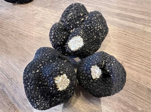 JMC Truffes - Truffes fraîches d'été tuber aestivum 50 G
