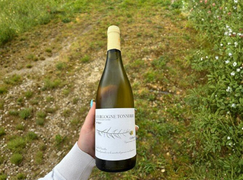 Domaine Céline Coté - Bourgogne Tonnerre Barrique 2025