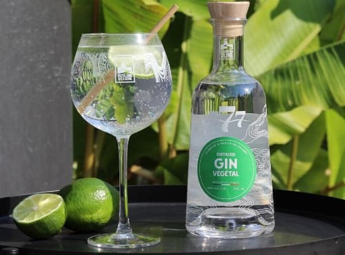 Distillerie de la Seine - Gin Végétal 70cl