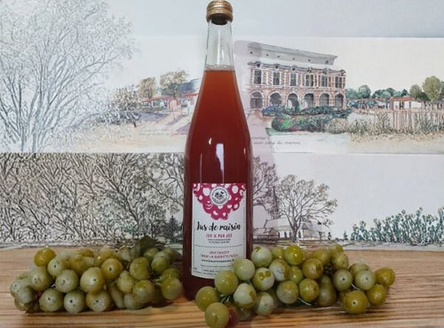 Cave Creuzet - Les Caves aux Caux - Pur jus de raisin 75cL - sans alcool - Lot de 6