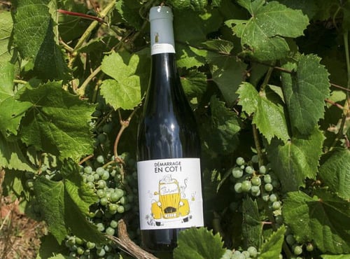 Domaine la Paganie - Vin Rouge nature - Démarrage en COT - 1 bouteille