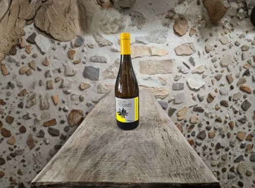 Lou Canesteou - Côte du Rhône Blanc Domaine Clos des Mourres 75cl