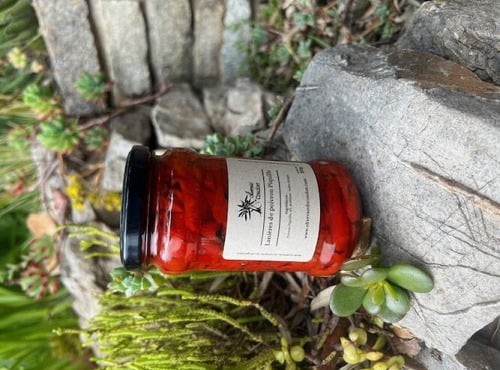 L'OLIVERAIE DU COUDON - Lanières de poivron Piquillo 270gr