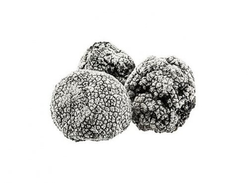 JMC Truffes - Brisure de truffe noire tuber melanosporum 100 g