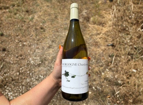 Domaine Céline Coté - Bourgogne Chardonnay 2025