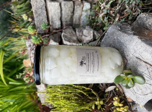 L'OLIVERAIE DU COUDON - PETITS OIGNONS BLANC AU VINAIGRE 700GR / 720 ML