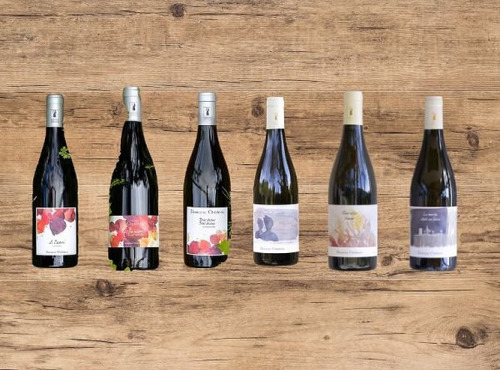 Domaine Childéric - Colis découverte de vins Domaine Childéric