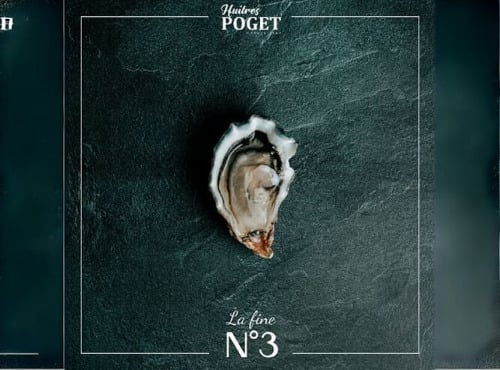 Huîtres Poget - Huîtres La Fine du Galon d'Or n°3 x48