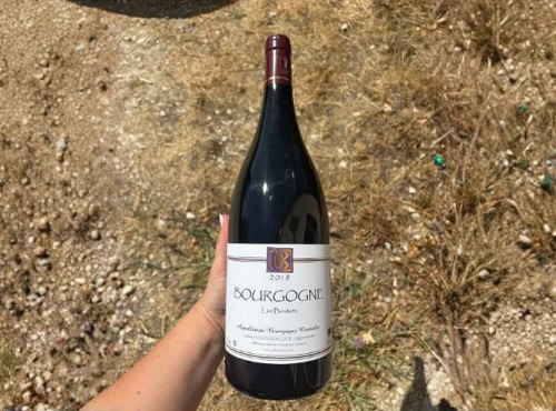 Domaine Céline Coté - Bourgogne Les Boutots 2018 Magnum