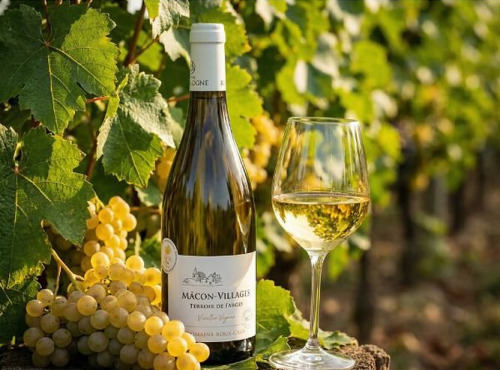 Domaine ROUX-GROS - Mâcon Villages "Terroir de Farges"- Sélection Vieilles Vignes 2023 6x75cl