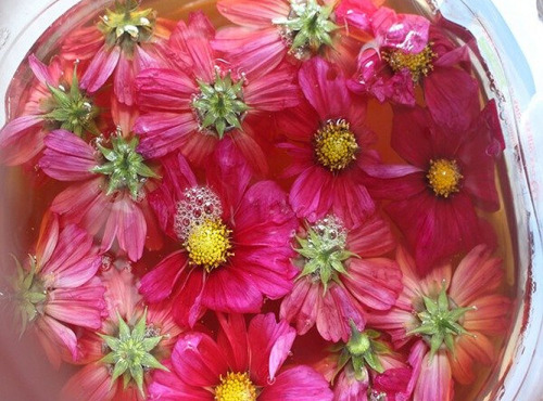 Rébecca les Jolies Fleurs - Oxy-Cosmos : vinaigre de cidre bio