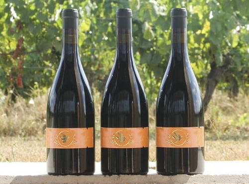 Domaine la Paganie - Vin rouge élevé en Amphore - LA TERRE 2023 - 3 bouteilles