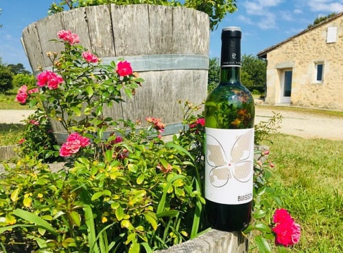 Domaine du Buisson - Vin blanc AOP Bordeaux - 2025 - 1x75cl