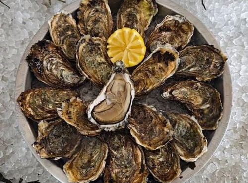 Aquaculture Chez Jaouen - Huîtres creuses fines du Morbihan N°3x72