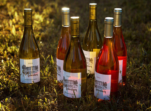 Vignobles Brunot - Box Blanc + Rosé 2025 - Château Maledan - 6x75cl