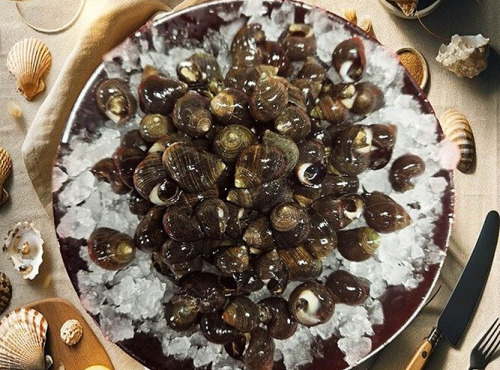 Famille Guezel - Bigorneaux Cuits 2kg