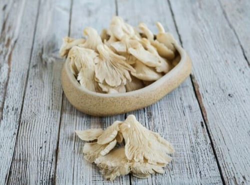 Champignons du Périgord - Pleurotes déshydratés séchés en lamelles | cultivés en Corrèze | 50g