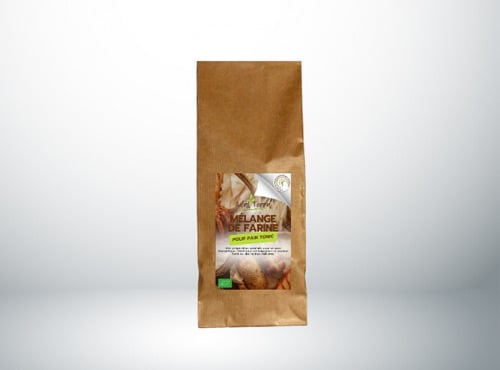 Adal Terra - Mélange de Farines Biodynamiques pour Pain Tonic 1KG