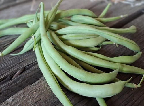 Les Jardins de Gérard - Haricot vert Bio - 500 g STOCK LIMITE