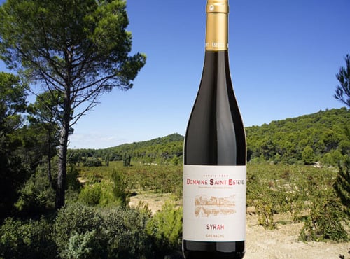 Château Saint Estève d'Uchaux - AOP Côtes du Rhône Syrah Rouge 2020 BIO